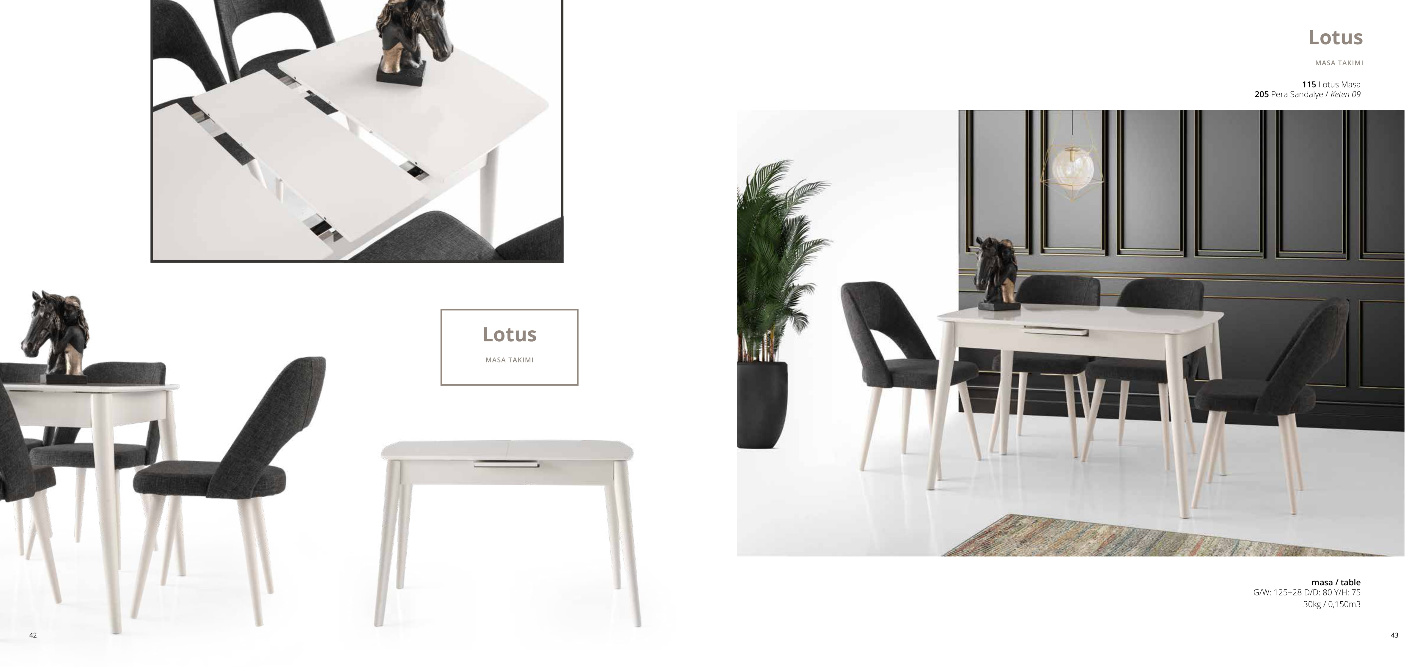 E-Katalog - renite Mobilya